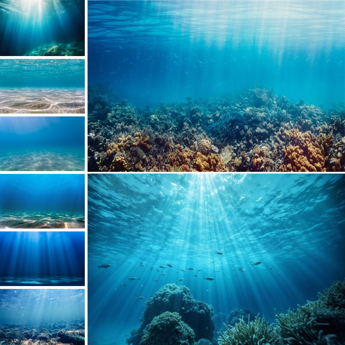 Blue Underwater World Backdrop - огляд і ціна Photo Develop Tank